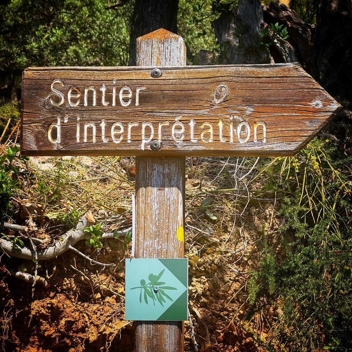 A wooden sign reading Sentier d’interprétation